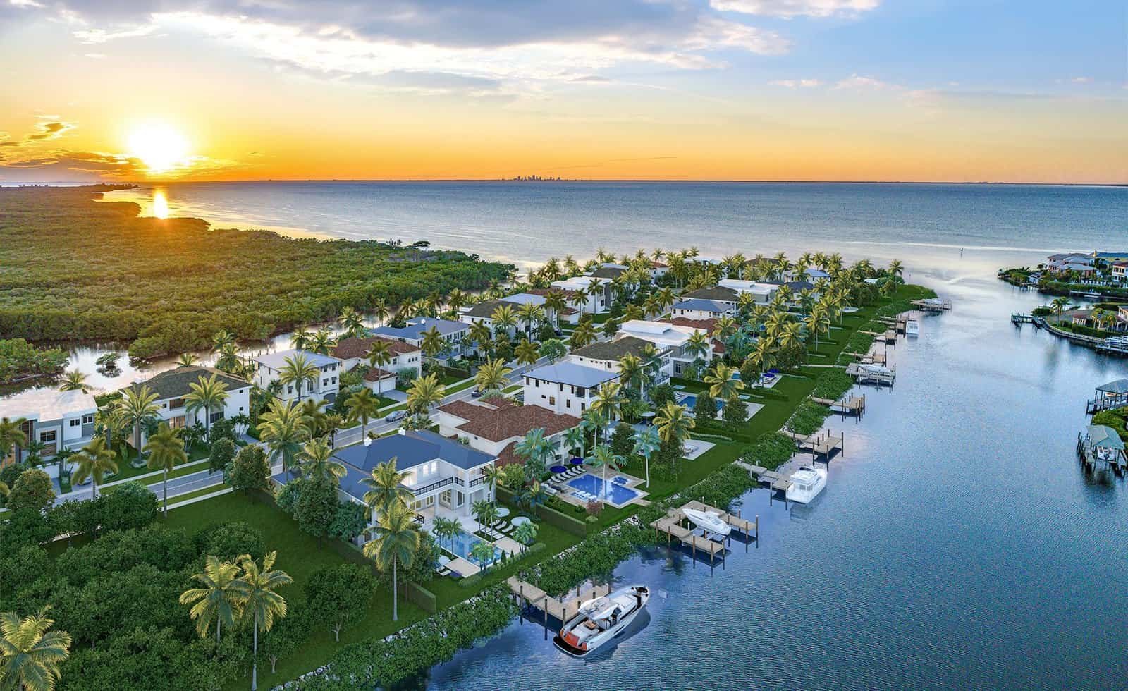 Apollo Beach FL | Mcguire Tree Service and Land Clearing Apollo Beach FL