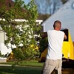 Comprehensive Brush Removal