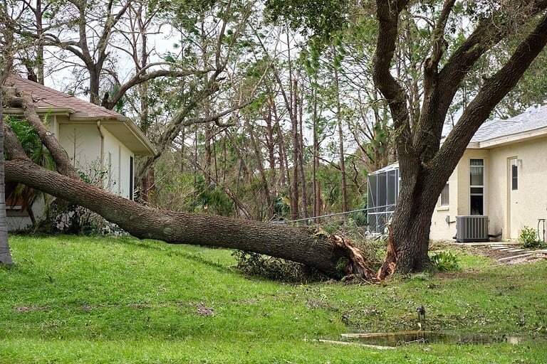 Emergency Storm Cleanup Broken Tree | Mcguire Tree Service and Land Clearing Emergency Storm Cleanup Broken Tree