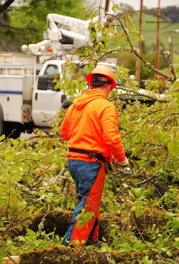 Emergency Storm Cleanup FAQ Image | Mcguire Tree Service and Land Clearing Emergency Storm Cleanup FAQ Image