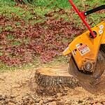 Expert Stump Grinding