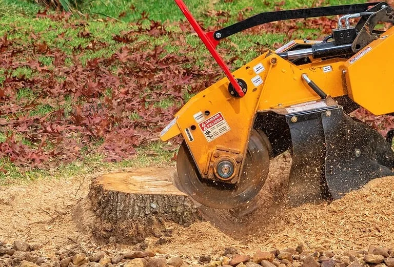Expert Stump Grinding
