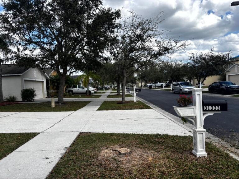 IMG_3667 | Mcguire Tree Service and Land Clearing