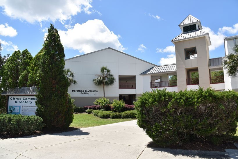 Lecanto FL | Mcguire Tree Service and Land Clearing Lecanto FL