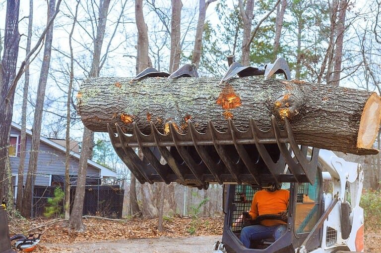 Professional Lot Clearing FAQ Image | Mcguire Tree Service and Land Clearing Professional Lot Clearing FAQ Image