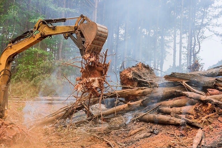 Total Land Clearing FAQ Image | Mcguire Tree Service and Land Clearing Total Land Clearing FAQ Image