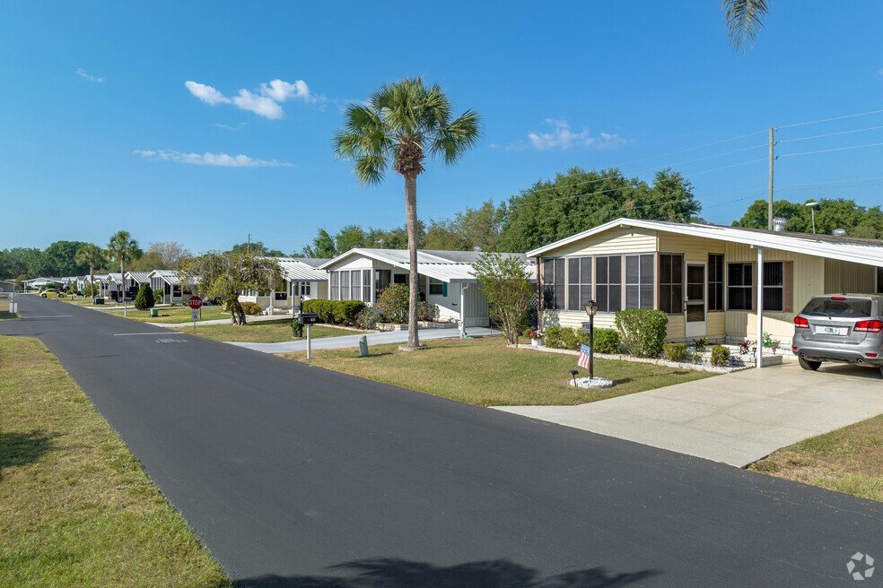 Valrico FL | Mcguire Tree Service and Land Clearing Valrico FL