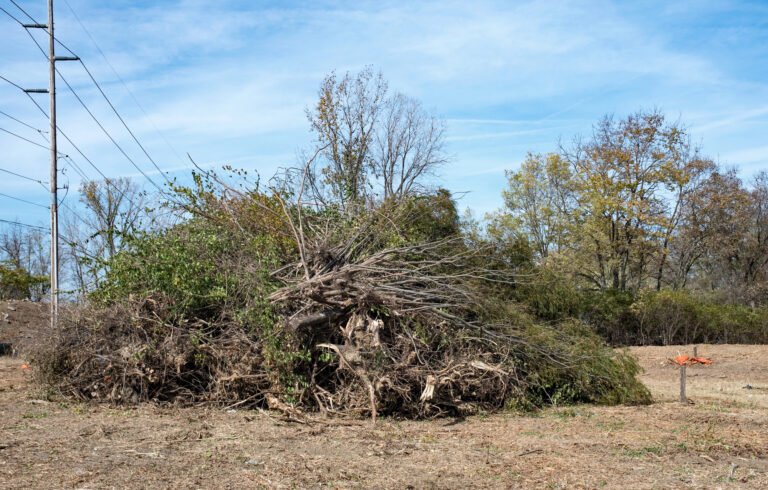Comprehensive Brush Removal FAQ Image | Mcguire Tree Service and Land Clearing Comprehensive Brush Removal FAQ Image