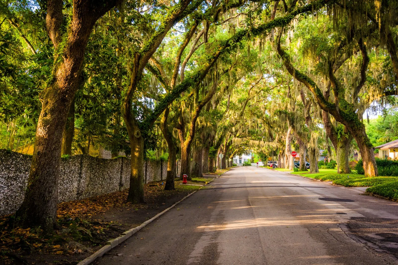 Florida Service Areas Image