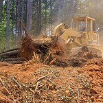 Professional Land Clearing Services