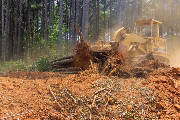 Professional Land Clearing Services | Mcguire Tree Service and Land Clearing Professional Land Clearing Services