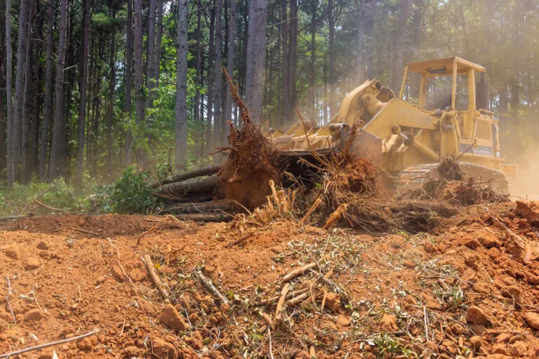 Professional Land Clearing Services