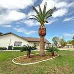 Services Free Quote Image